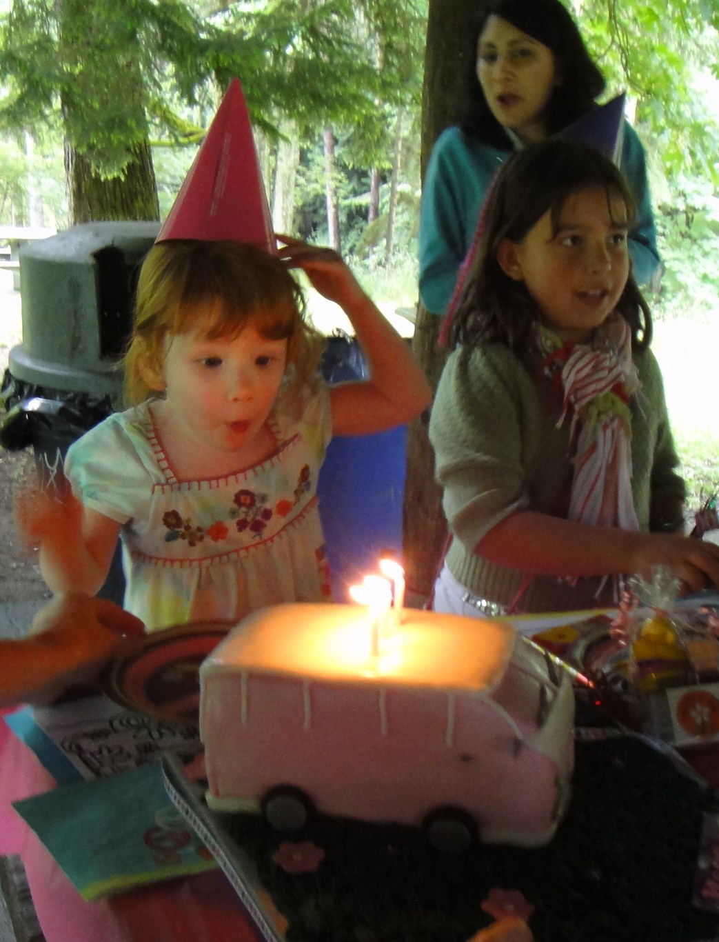 VROOM! GET NOSTALIGIC WITH A PRETTY IN PINK VW CAMPER VAN BIRTHDAY PARTY