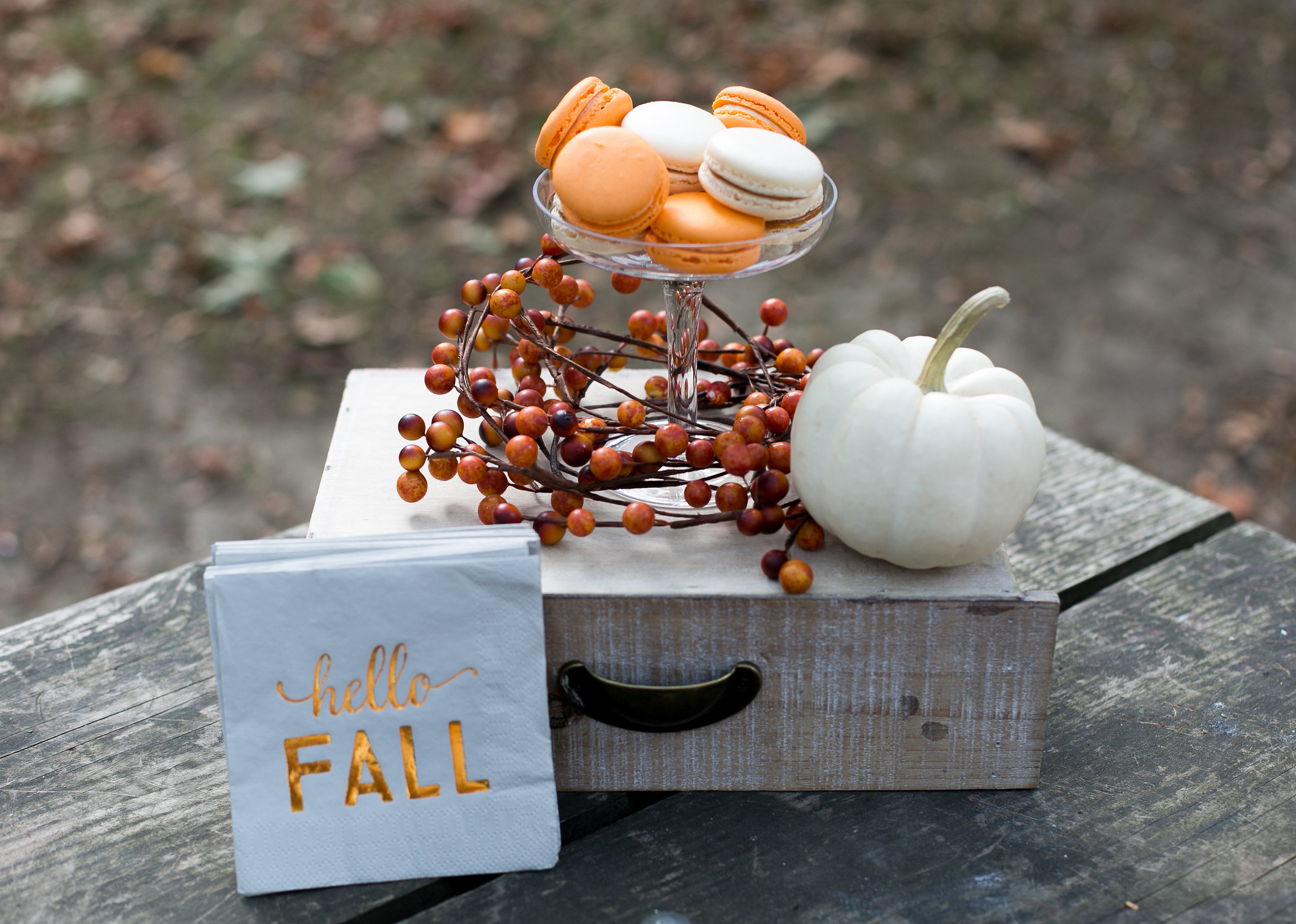 IT’S GETTING CHILLY – TIME FOR FALL MACARONS FROM LADY YUM– PERFECT FOR ANY PARTY!